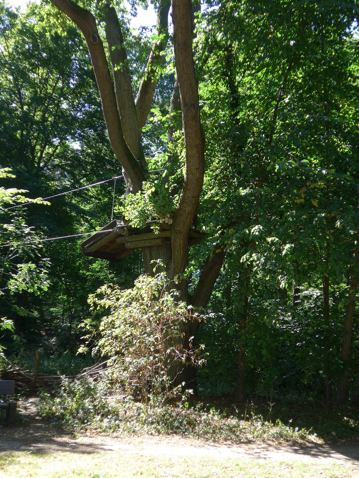 Schweriner Kletterwald – Bild 4