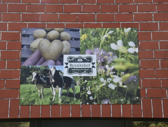 Brunkshof: Hofladen und Milchtankstelle – Bild 3