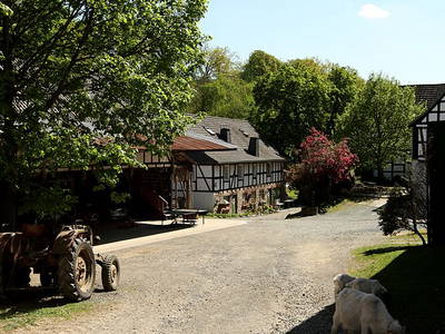 Bauernhof Heinemann – Bild 6