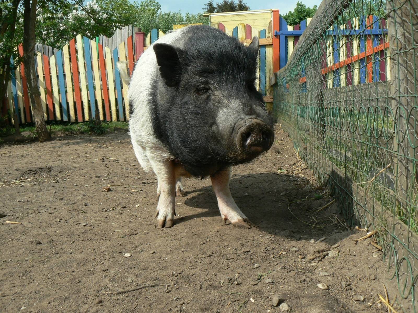Stadtteilbauernhof e. V. – Bild 3
