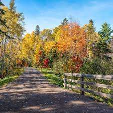 Mapleton Park – Bild 2