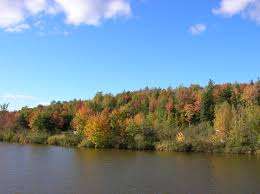 Mapleton Park – Bild 3