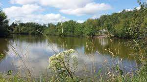 Mapleton Park – Bild 4