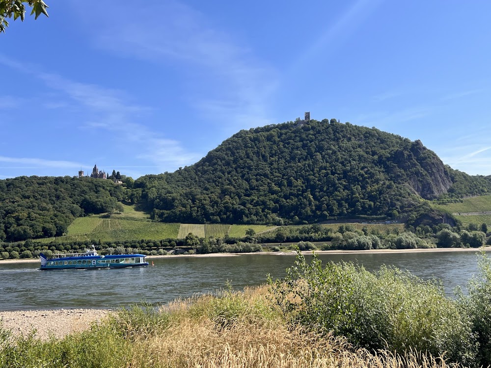 Drachensteinpark – Bild 4