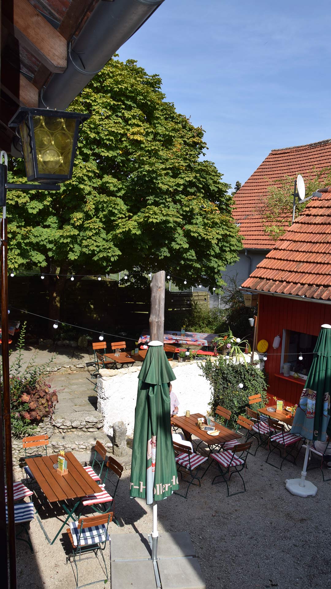 Adler Meidelstetten - Förderverein Zukunft Adler Meidelstetten e.V. – Bild 2