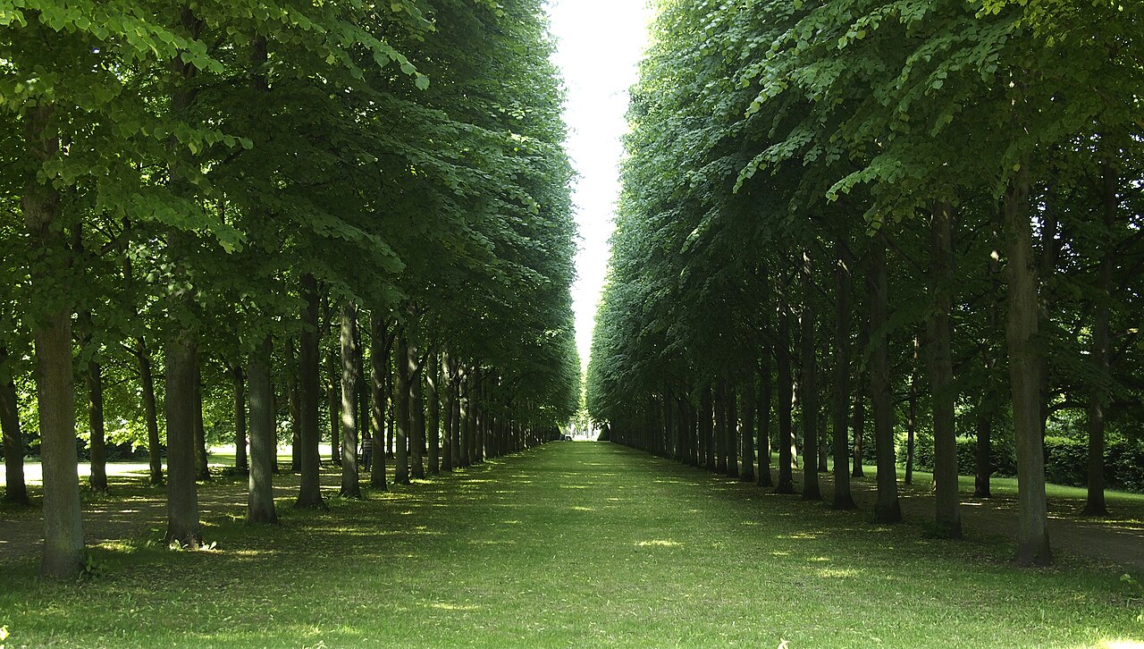 Französischer Garten – Bild 3