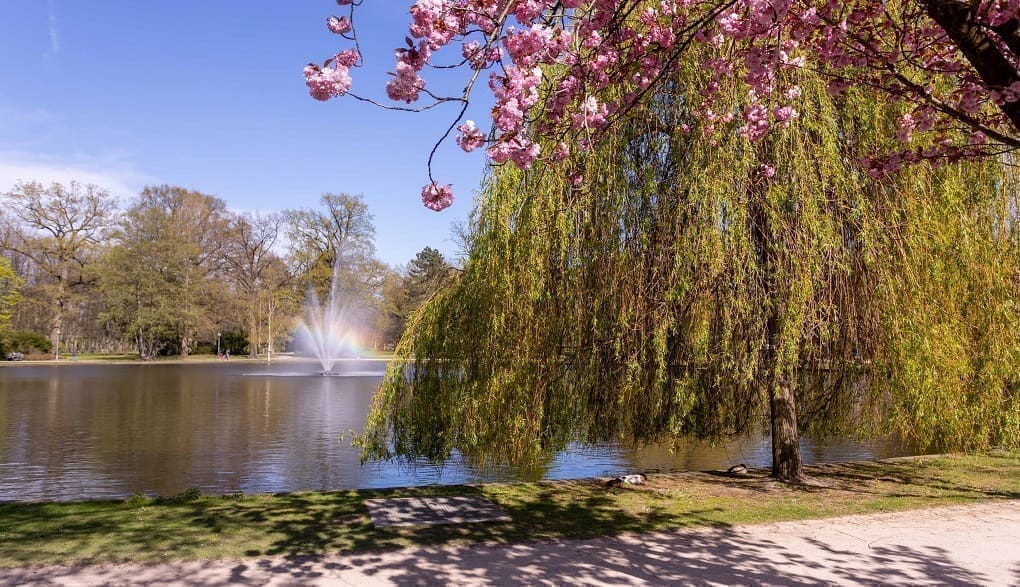 Französischer Garten – Bild 4