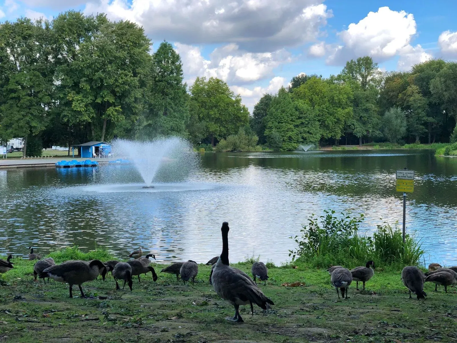 Fredenbaumpark – Bild 5