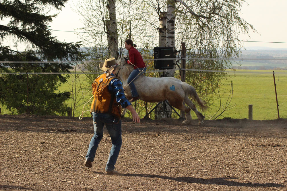 Ponyhof Jägersruh – Bild 3