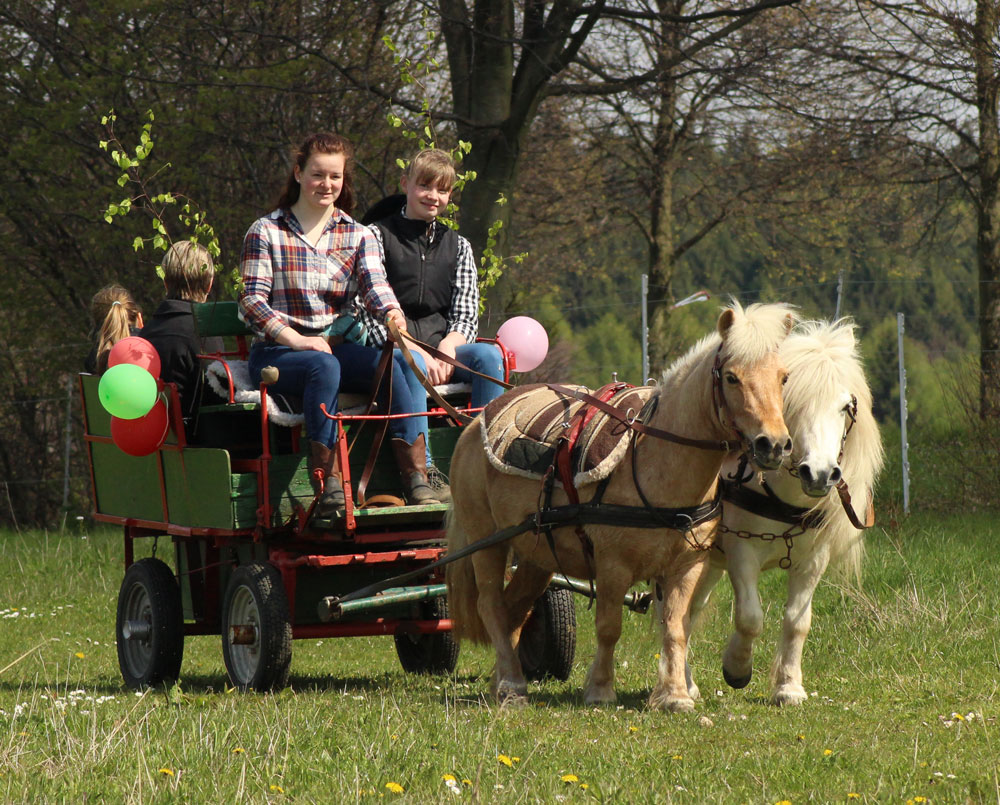 Ponyhof Jägersruh – Bild 4