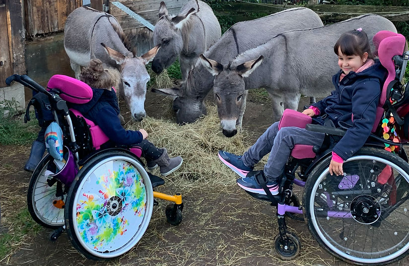 Lindenhof. Natur erleben, natürlich leben. – Bild 4