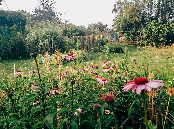 Lindenhof. Natur erleben, natürlich leben. – Bild 5
