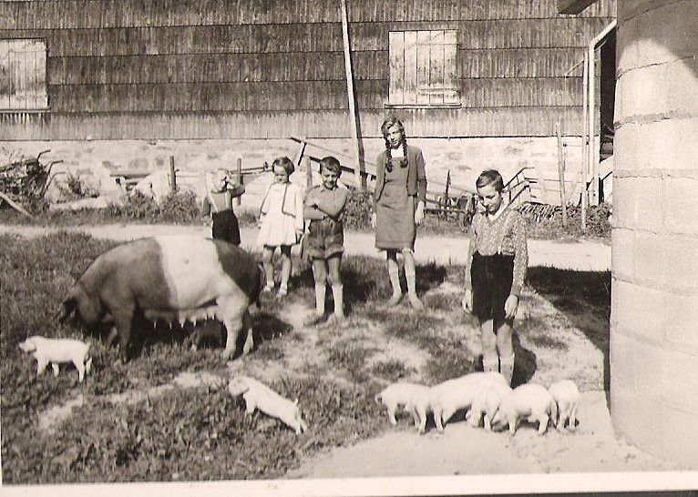 Zeltnerhof - Urlaub auf dem Bauernhof – Bild 5