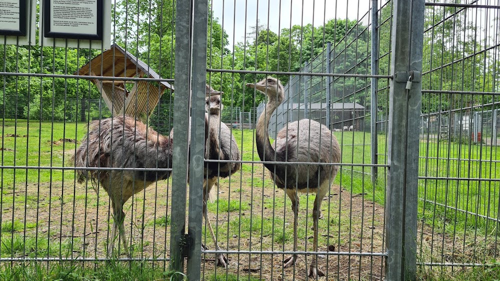 Wildgehege Rabensleite – Bild 2