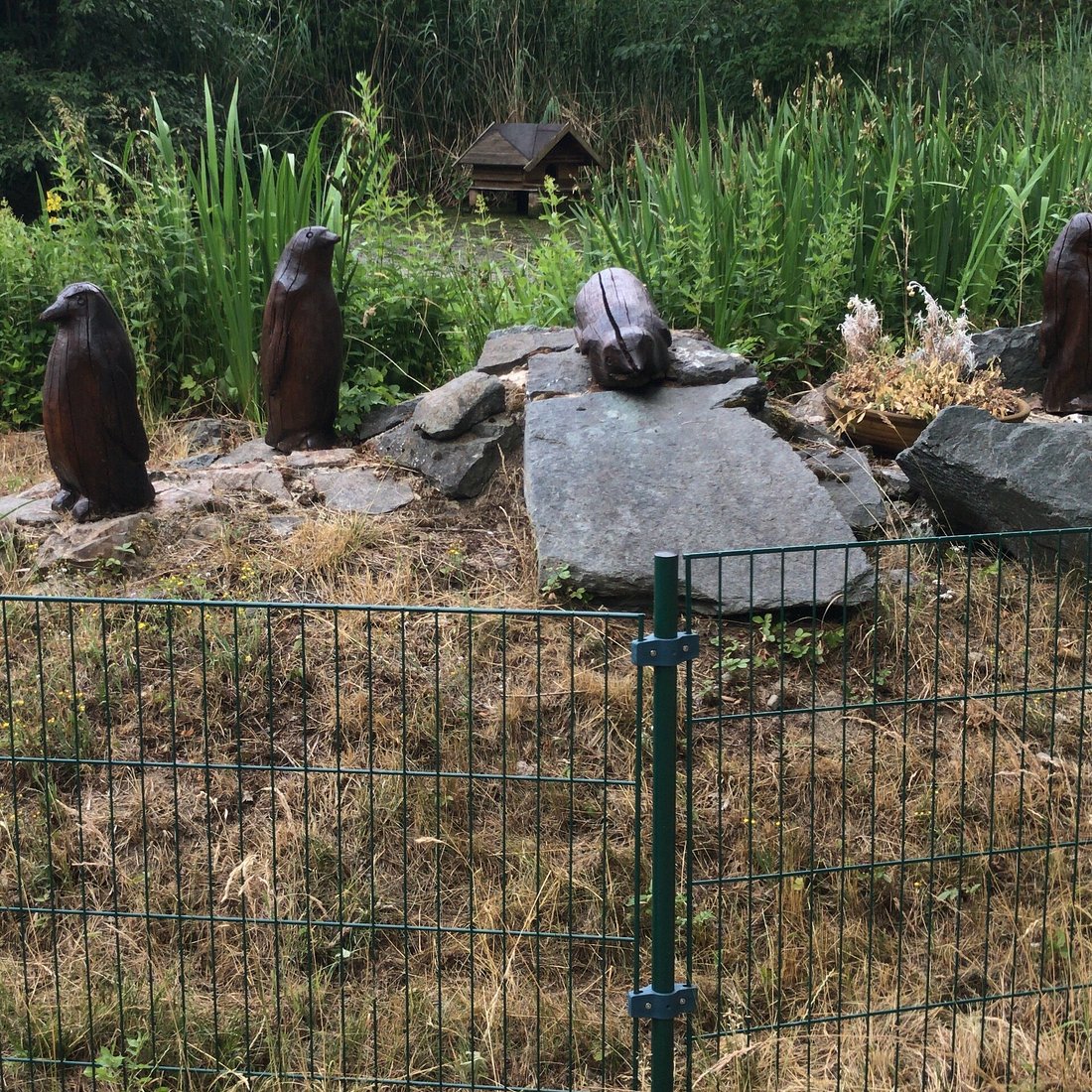 Wildgehege Rabensleite – Bild 3