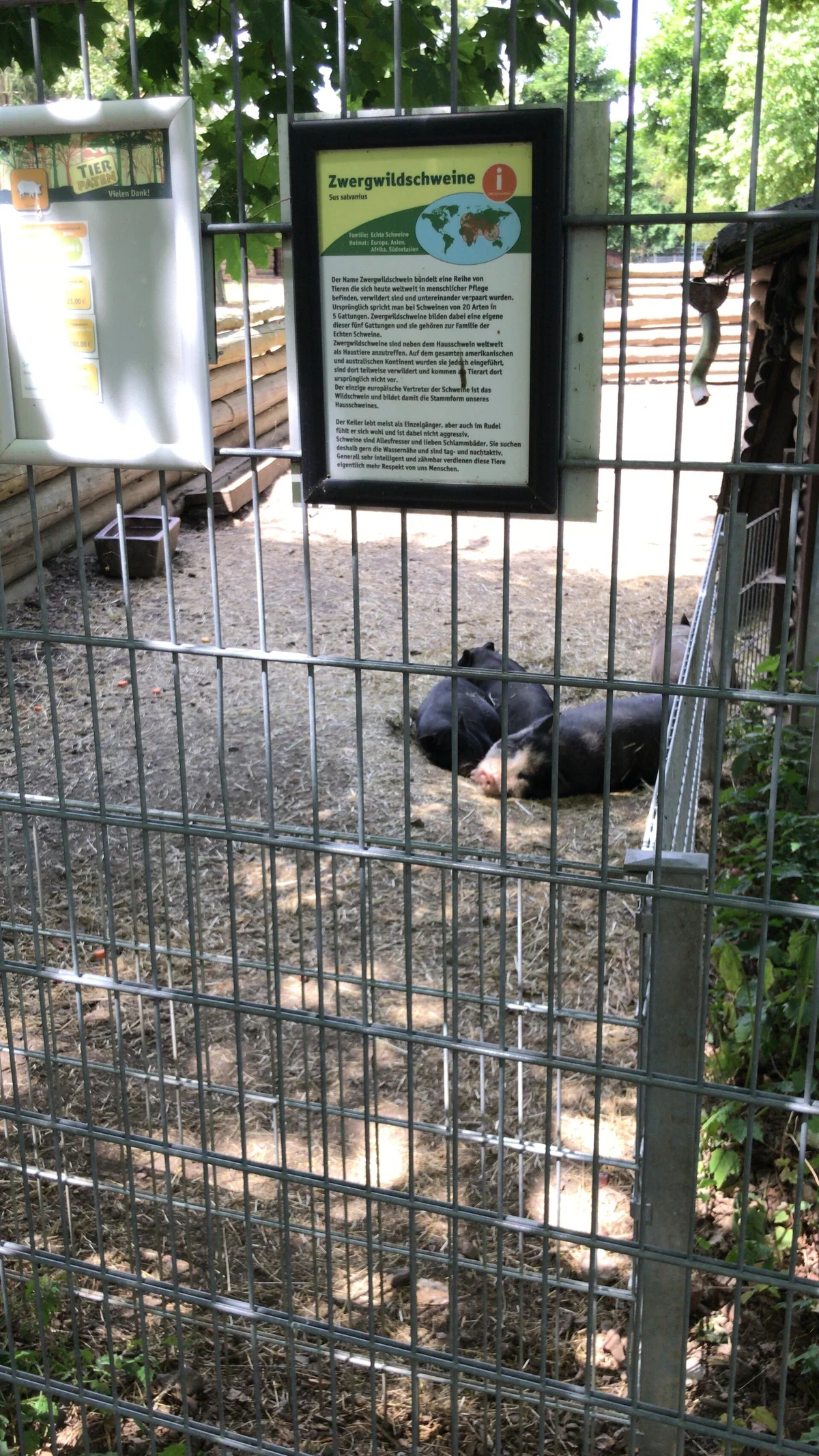 Wildgehege Rabensleite – Bild 4