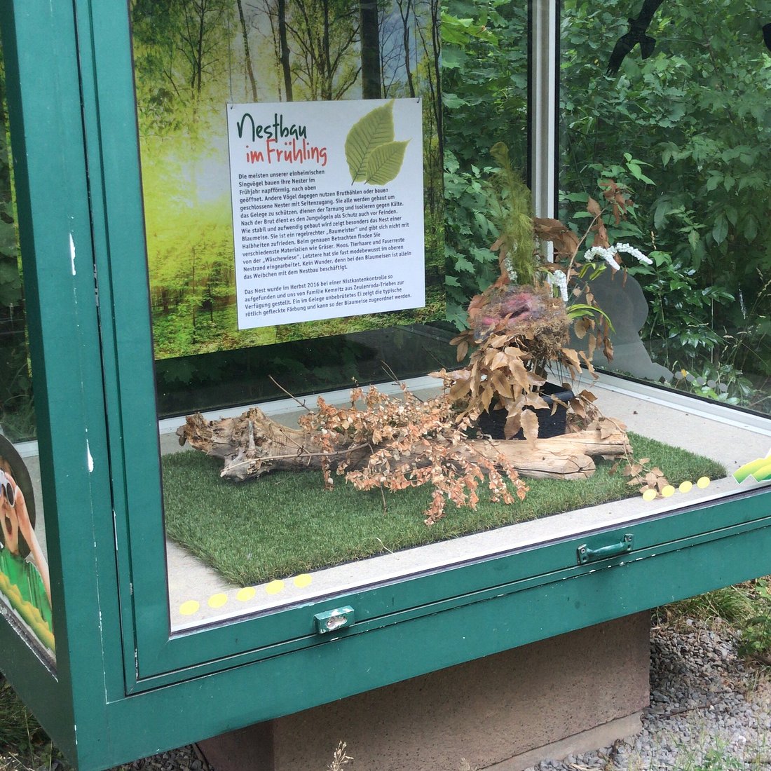 Wildgehege Rabensleite – Bild 5