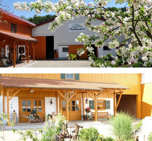 Dielenhof – Bild 2