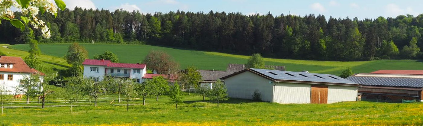 Dielenhof – Bild 3