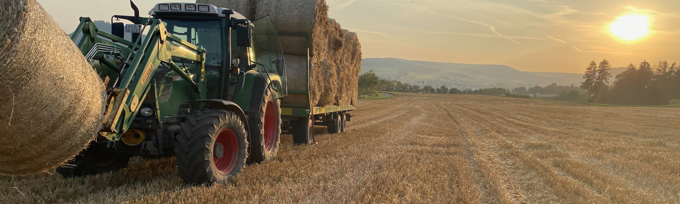 Dielenhof – Bild 5