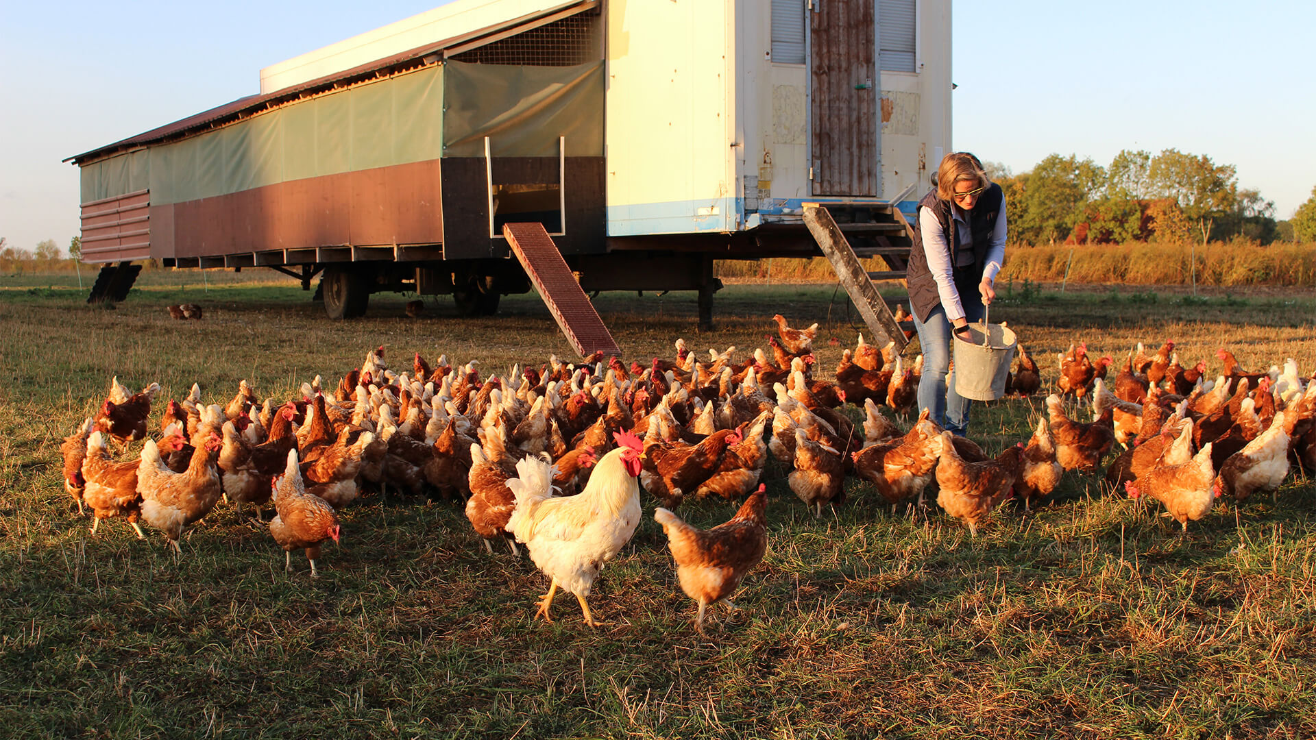 Natürlich Hof Schwienhorst – Bild 3