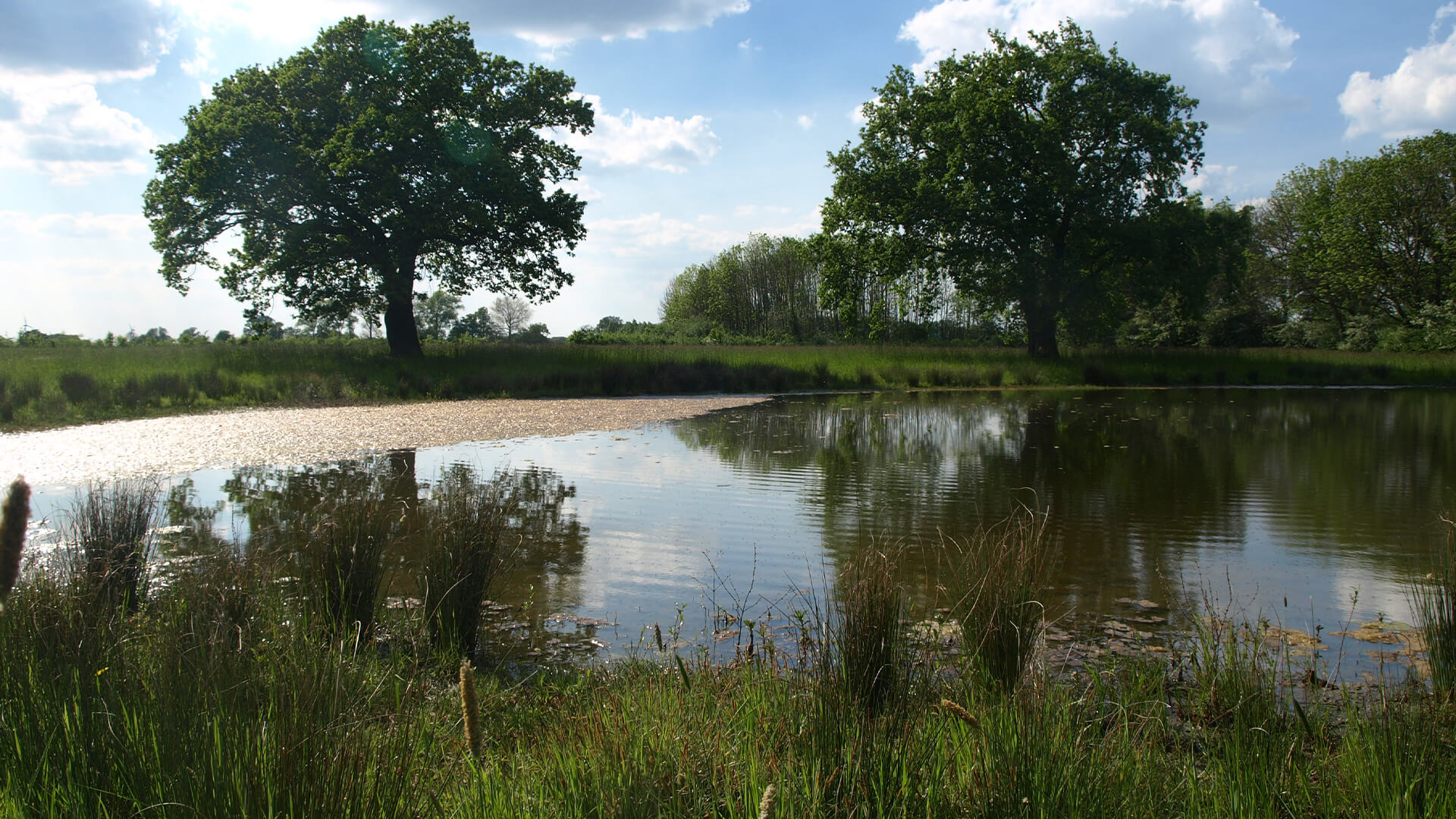 Natürlich Hof Schwienhorst – Bild 6