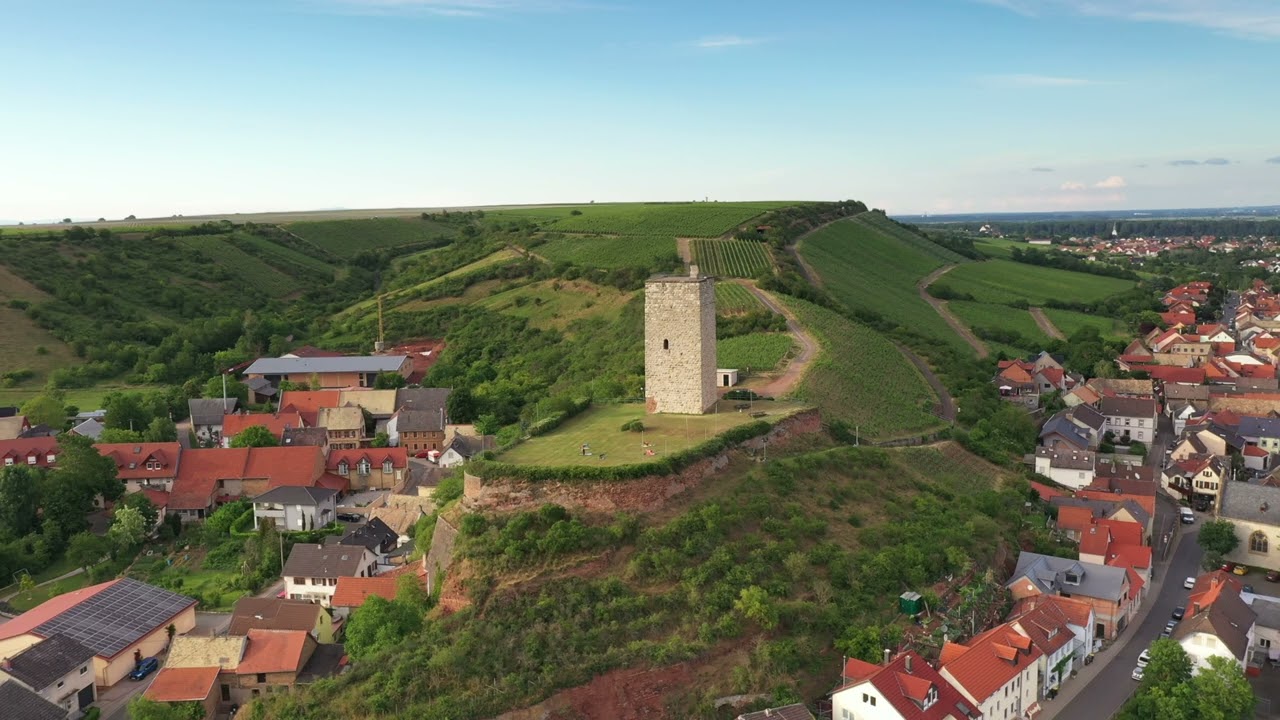 Wingertsschaukel Nierstein – Bild 5