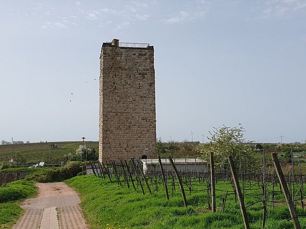 Wingertsschaukel Nierstein – Bild 6