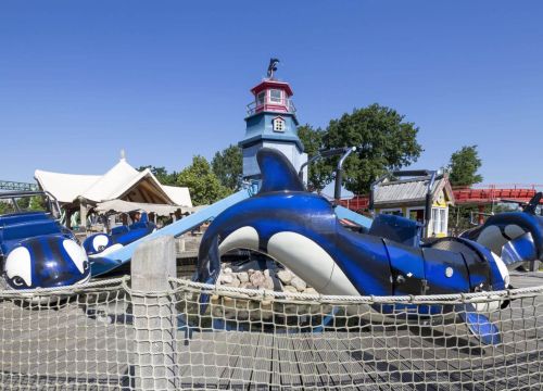 Flying Orcas – Bild 2