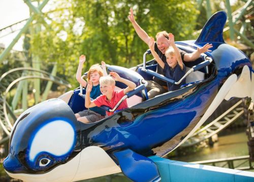 Flying Orcas – Bild 3