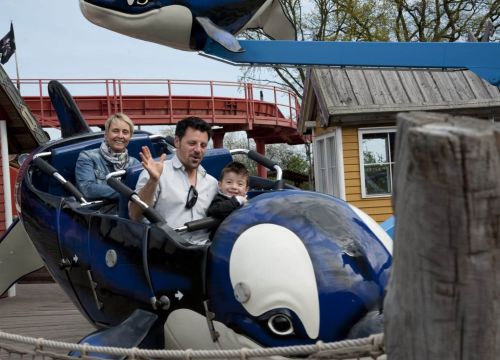 Flying Orcas – Bild 4