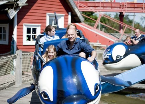 Flying Orcas – Bild 6