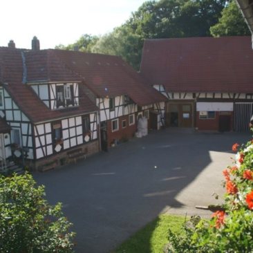 Ferienhof und Hofladen Königsmühle – Eva Hess – Bild 2