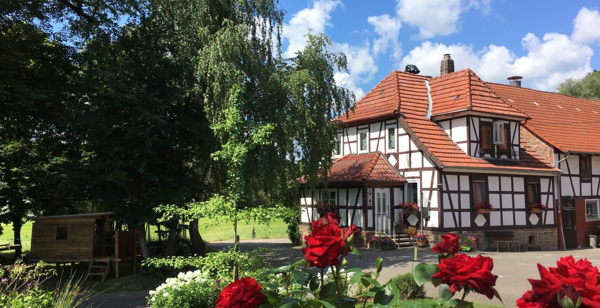 Ferienhof und Hofladen Königsmühle – Eva Hess – Bild 4