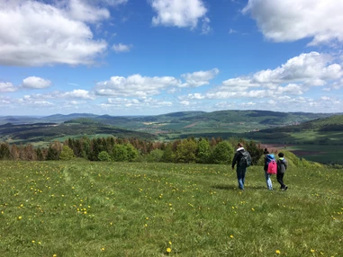 Ferienhof und Hofladen Königsmühle – Eva Hess – Bild 6