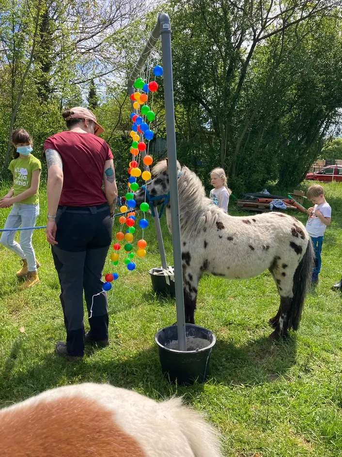 Sindlinger Glückswiese – Bild 2
