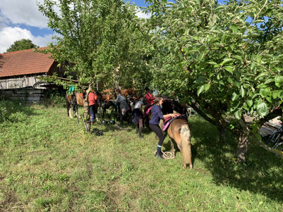 Biergarten Gumpp – Bild 5