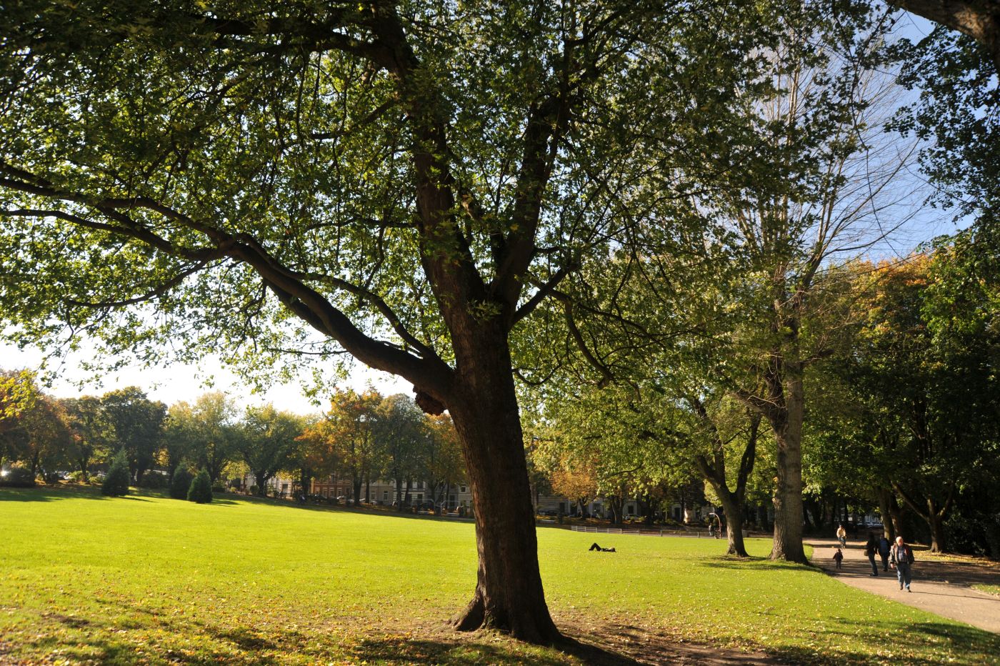 Ferberpark – Bild 2