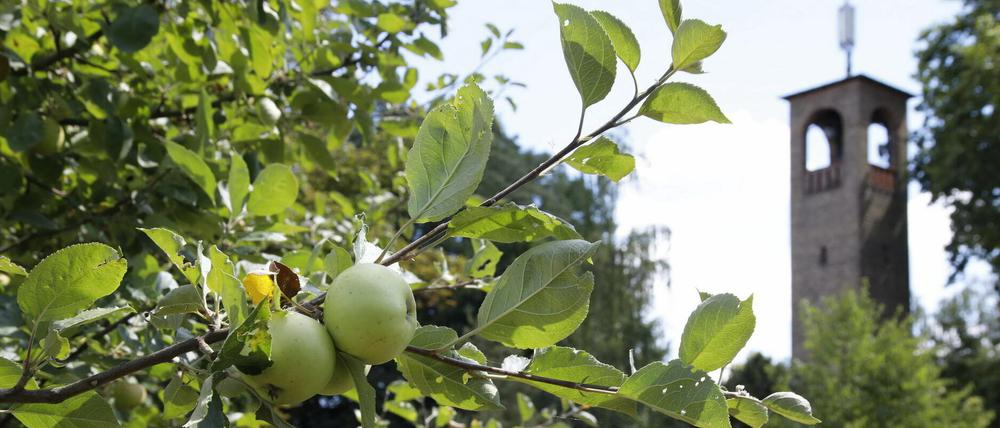 Spielband am Lärmschutzwall – Bild 3