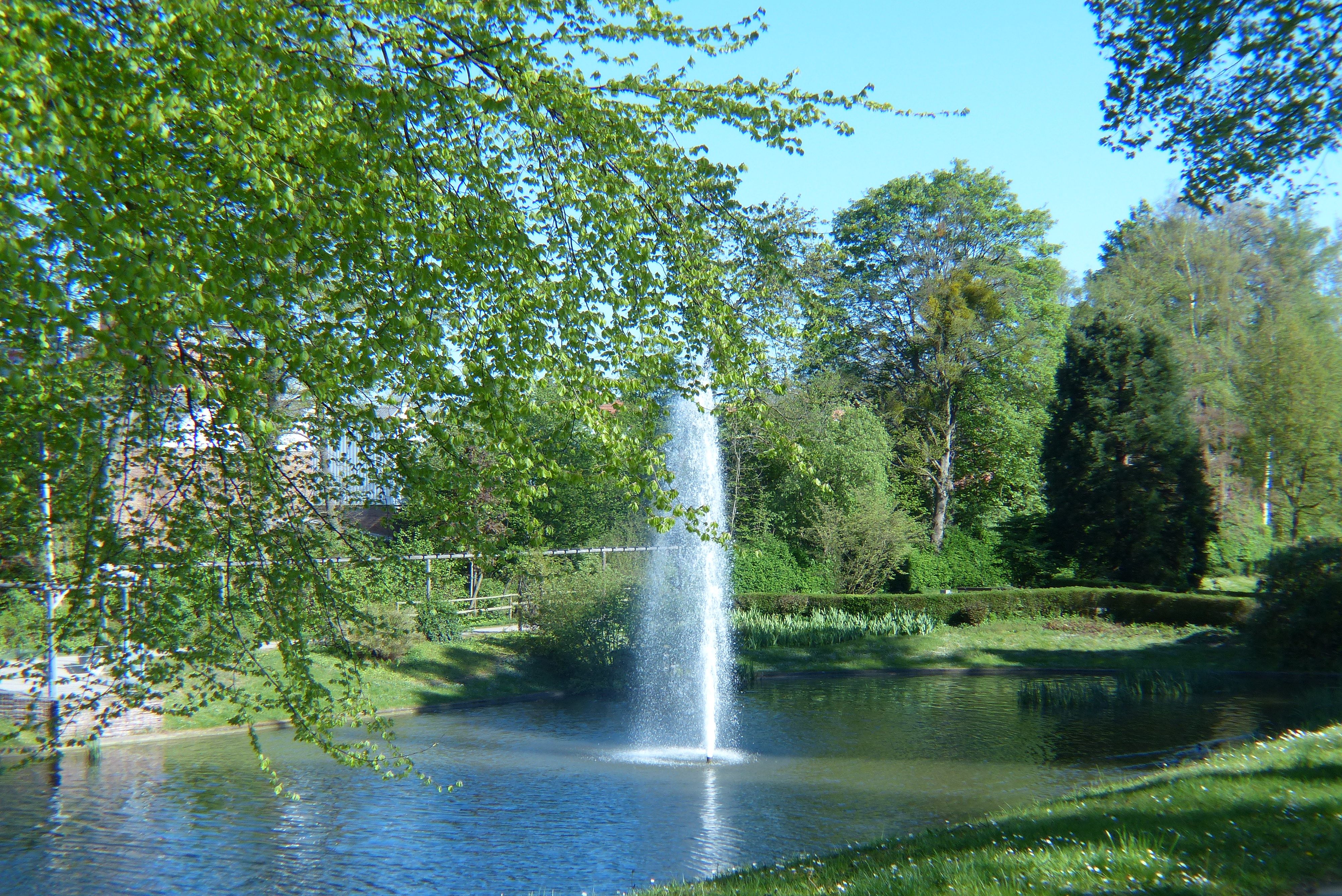 Bäckerwall – Bild 6