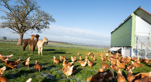 SchiltzHof - SB-Laden – Bild 3