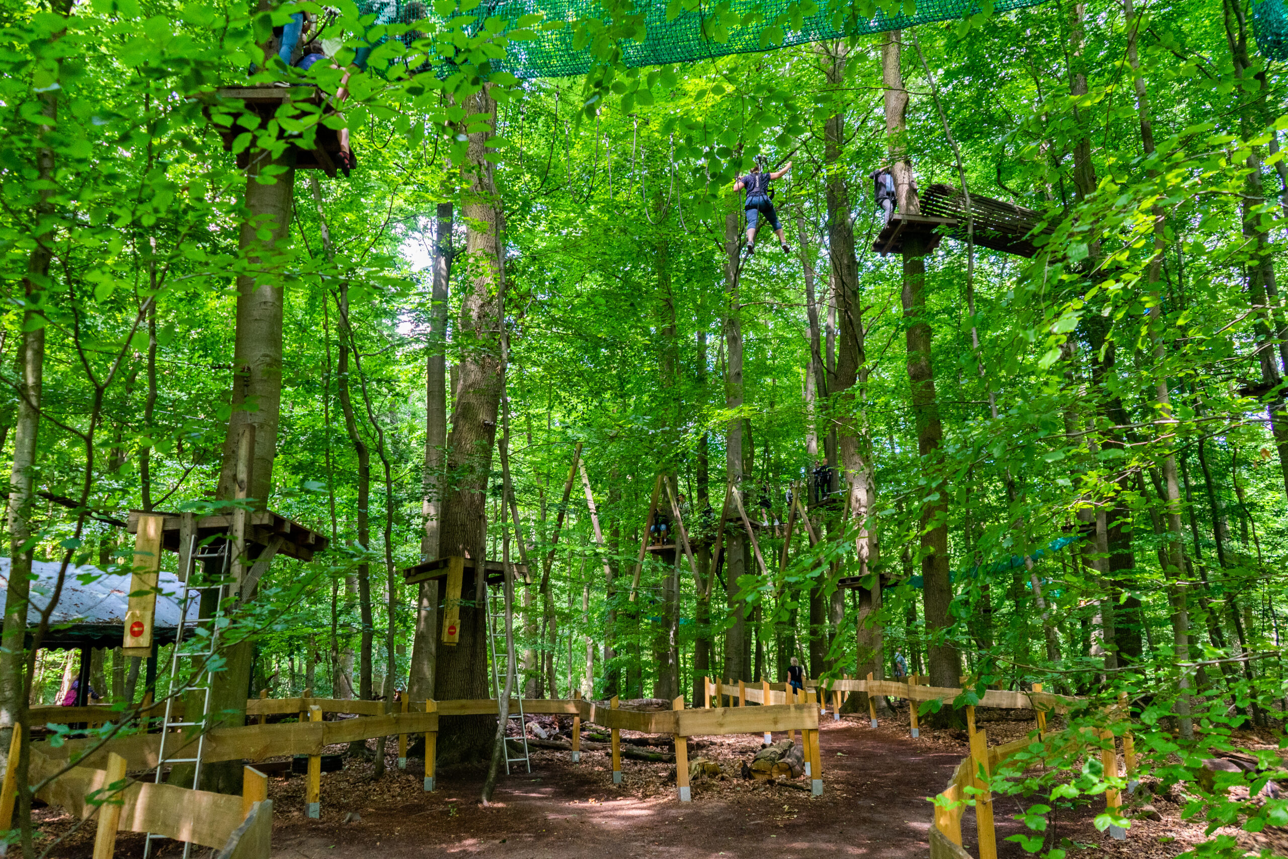 Waldhochseilgarten Scharbeutz – Bild 5