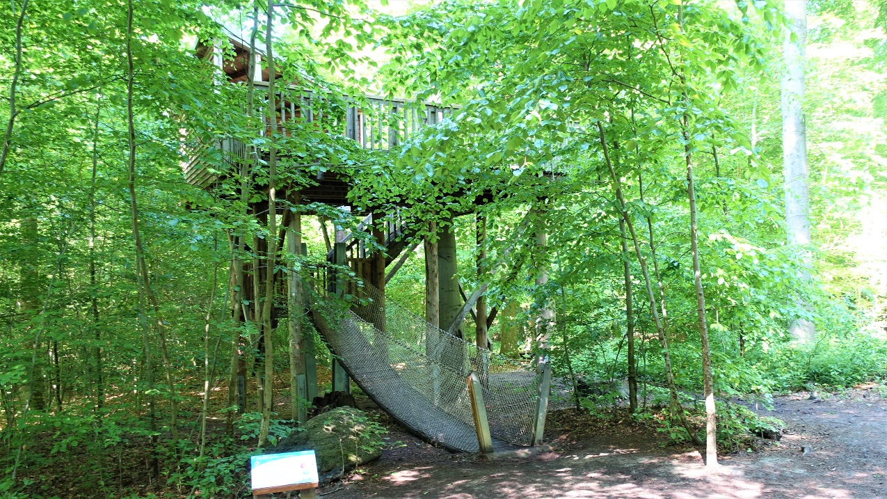 LÖWE-Pfad – Bild 3