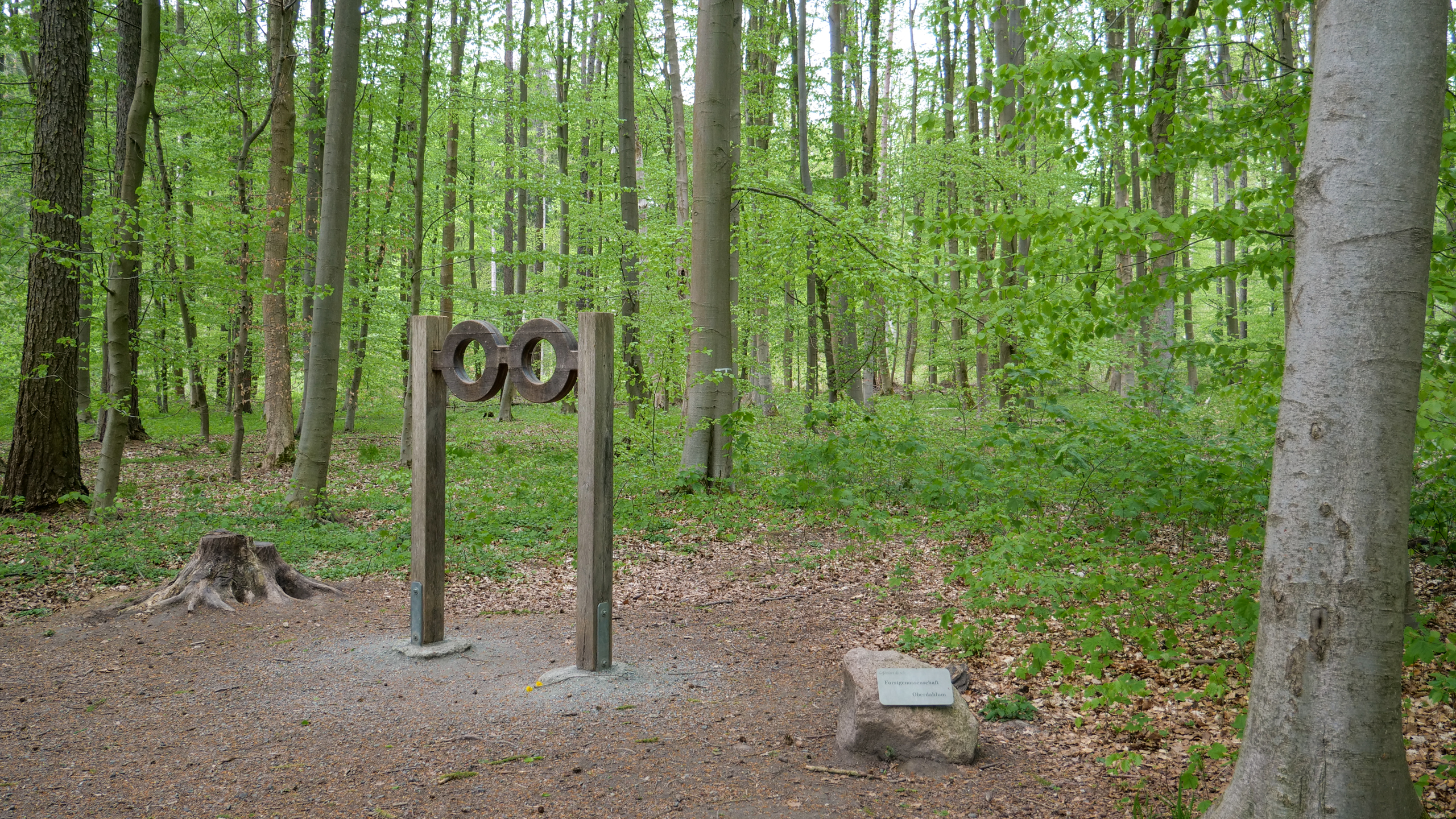 LÖWE-Pfad – Bild 4