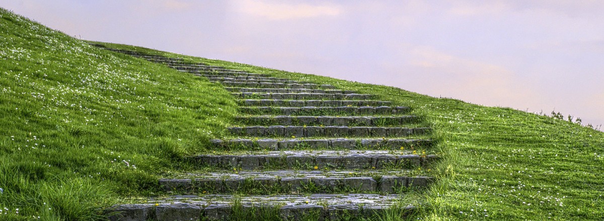 Freizeitpark Rheinaue – Bild 2