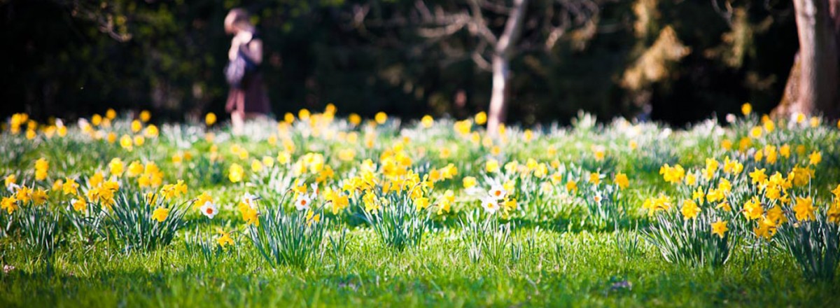 Freizeitpark Rheinaue – Bild 3
