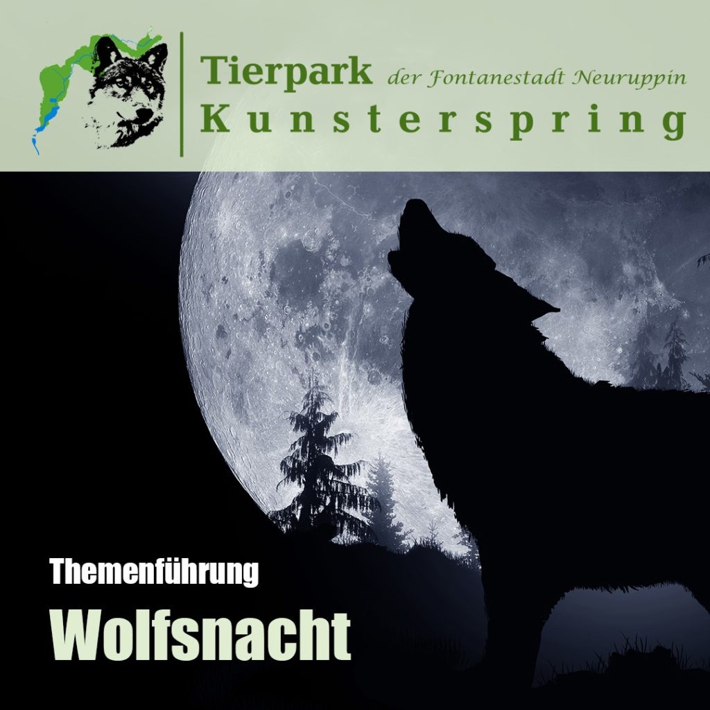 Tierpark Kunsterspring – Bild 3