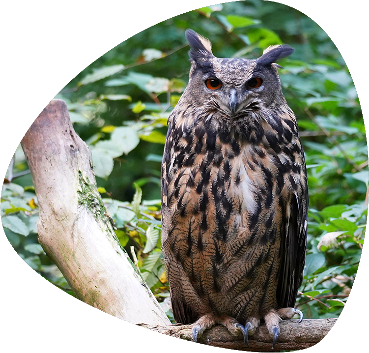 Tierpark Kunsterspring – Bild 6