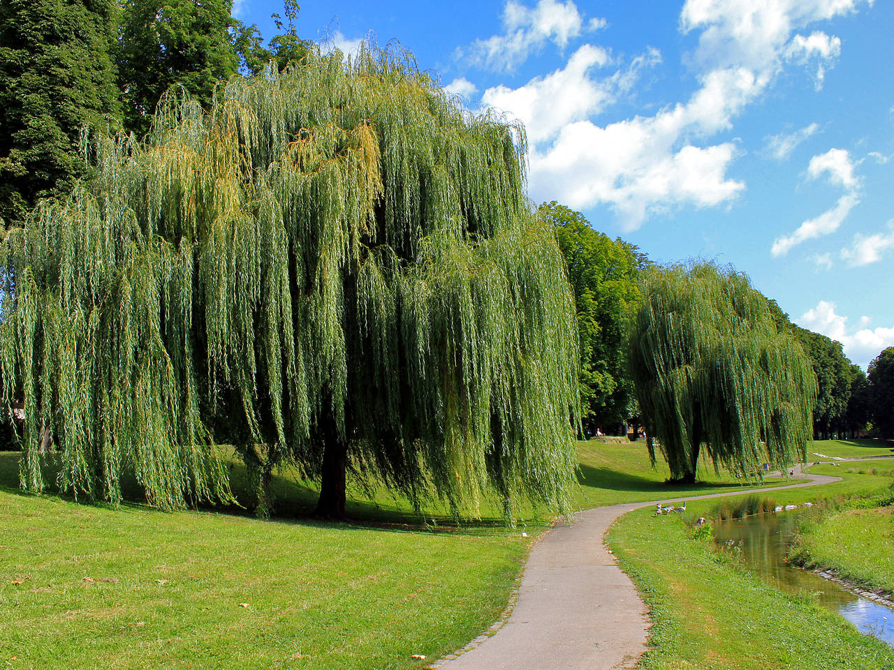 Schwarzwildpark – Bild 5
