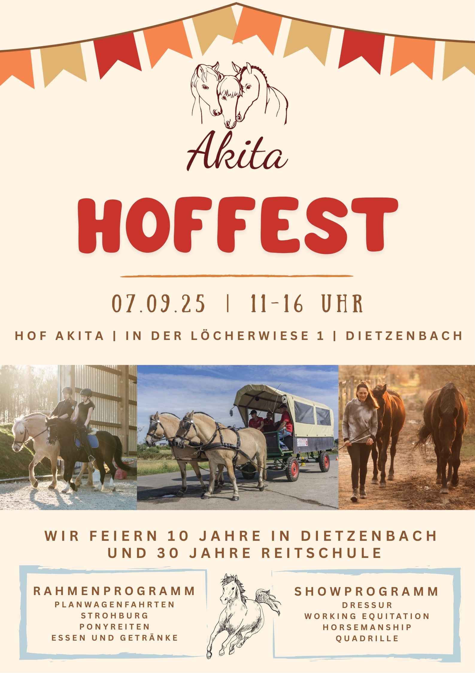 Hof Akita – Bild 4